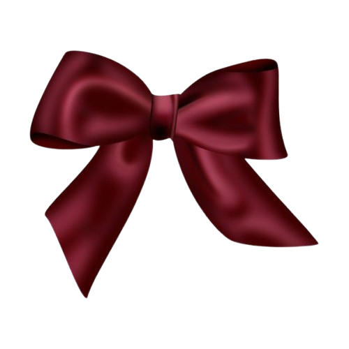 Moño coquette.png